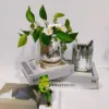 107506-bcc6f3.webp Bohemian Chic Self-Watering Disco Ball Planter