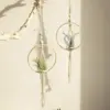 Boho Chic Macrame Air Plant Hanger