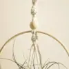 Boho Chic Macrame Air Plant Hanger