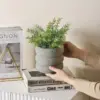 107512-70da61.webp Minimalist Nordic Cement Flowerpot