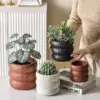 107512-e7e982.webp Minimalist Nordic Cement Flowerpot