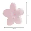 107569-a0579b.webp Cherry Blossom Plush Cushion
