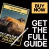 110910-765ae0.webp Top Cars Built for Challenging Terrain – Practical Guide to the best cars for bad road conditions | Smart Buying & Setup Guide