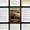 110910-f6ab87.webp Top Cars Built for Challenging Terrain – Practical Guide to the best cars for bad road conditions | Smart Buying & Setup Guide