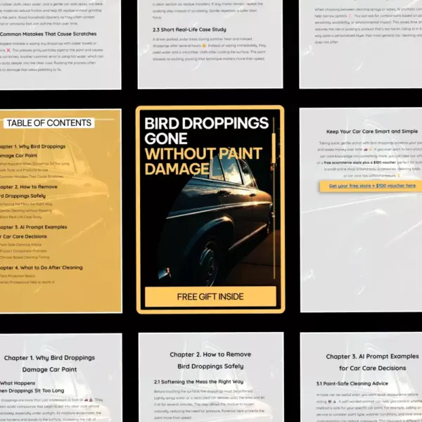 110926-37085b.webp Bird Droppings Gone Without Paint Damage – A Practical Guide on how to remove bird droppings from car paint Safely & Easily