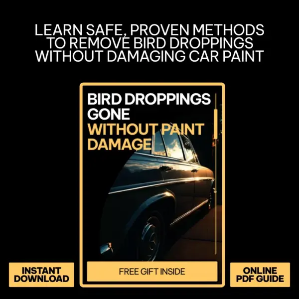 110926-4360de.webp Bird Droppings Gone Without Paint Damage – A Practical Guide on how to remove bird droppings from car paint Safely & Easily