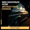 110926-d16bd5.webp Bird Droppings Gone Without Paint Damage – A Practical Guide on how to remove bird droppings from car paint Safely & Easily