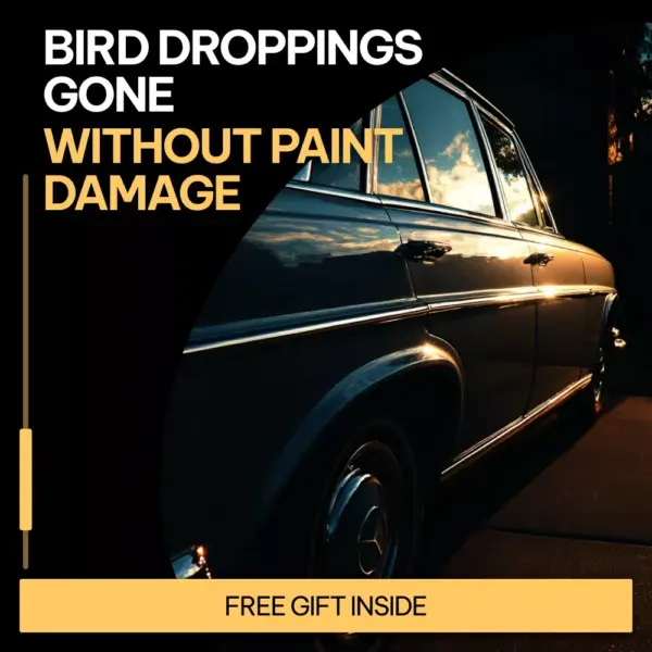 110926-d16bd5.webp Bird Droppings Gone Without Paint Damage – A Practical Guide on how to remove bird droppings from car paint Safely & Easily