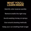 Fresh Air Fast | Easy Car Smell Removal Guide, Odor Elimination Checklist, Digital Download