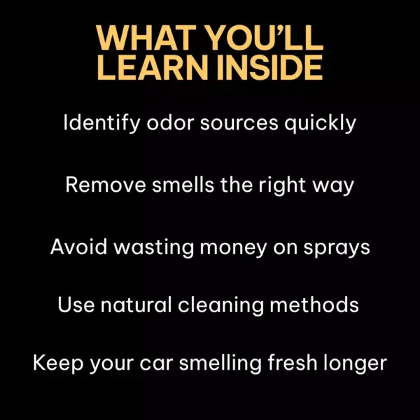 Fresh Air Fast | Easy Car Smell Removal Guide, Odor Elimination Checklist, Digital Download