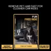 111123-0fb87b.webp Fur Free Ride | How to Remove Pet Hair from Car Seats Digital Guide, Easy Car Cleaning Checklist for Pet Owners