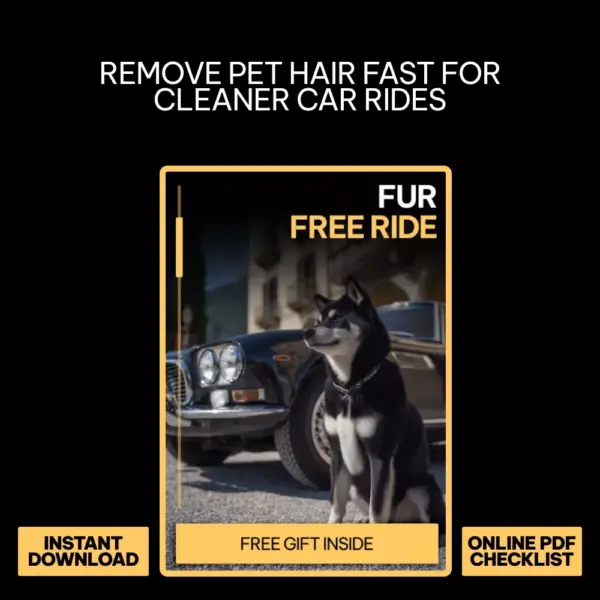 111123-0fb87b.webp Fur Free Ride | How to Remove Pet Hair from Car Seats Digital Guide, Easy Car Cleaning Checklist for Pet Owners