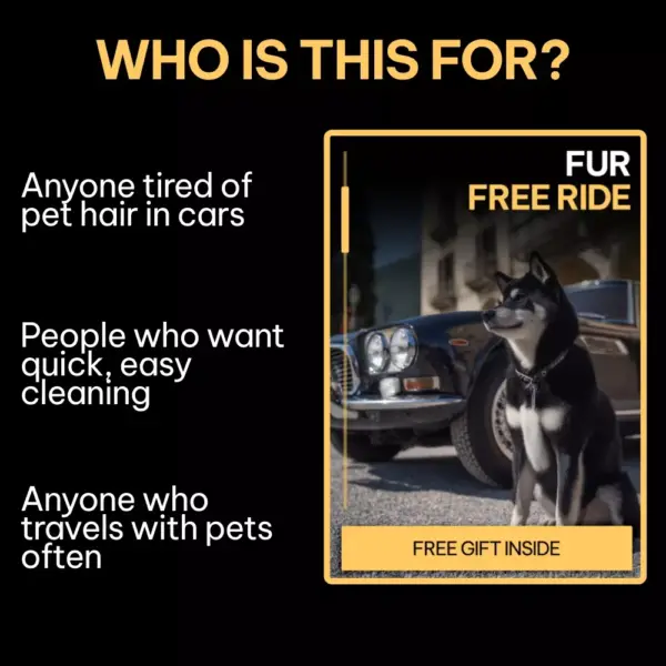 111123-781b20.webp Fur Free Ride | How to Remove Pet Hair from Car Seats Digital Guide, Easy Car Cleaning Checklist for Pet Owners