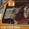 111123-c3e38a.webp Fur Free Ride | How to Remove Pet Hair from Car Seats Digital Guide, Easy Car Cleaning Checklist for Pet Owners
